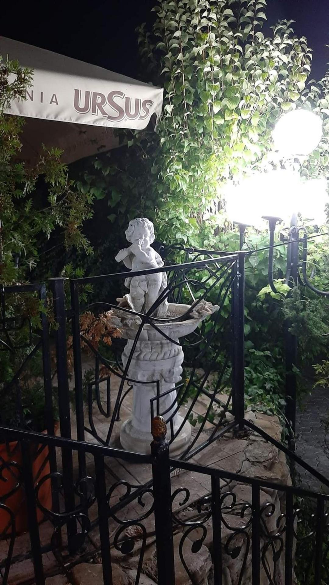 雅西 Casa Boiereasca酒店 外观 照片