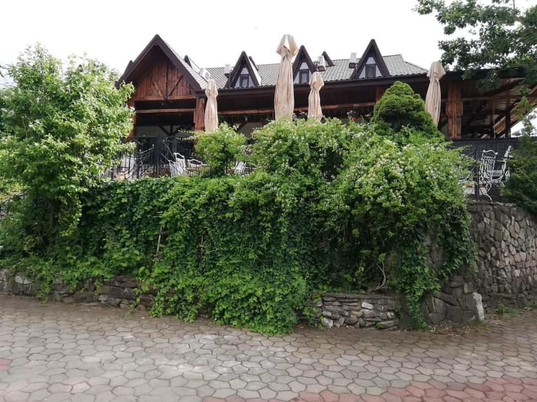 雅西 Casa Boiereasca酒店 外观 照片